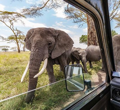 Voyages sur mesure Tanzanie