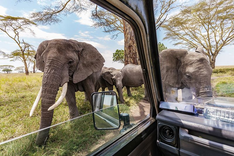 La Tanzanie, l'aventure pour tous 