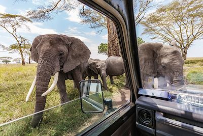 voyage La Tanzanie, l'aventure pour tous 