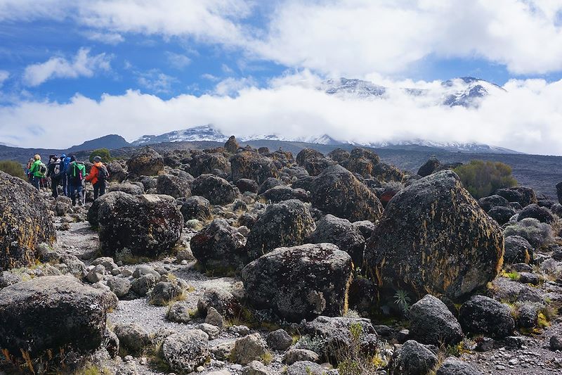 Trek entre Shira et Barranco Camp - Kilimandjaro - Tanzanie