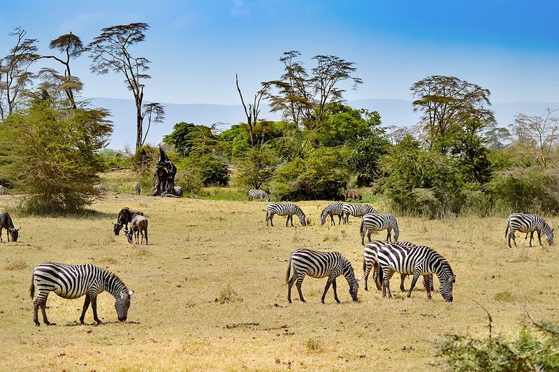 Safari en Lodge et Plages à Zanzibar ! 
