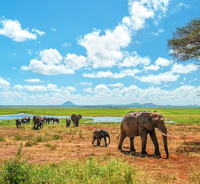 Circuits en petit groupe Tanzanie