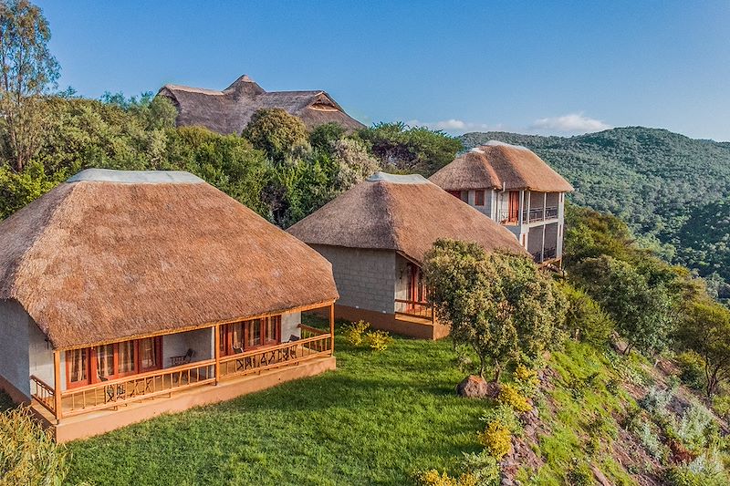 Ngorongoro Forest Tented Lodge - Arusha - Tanzanie 