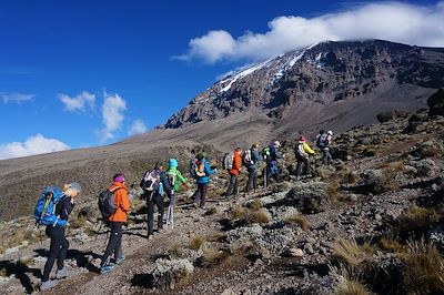Kilimandjaro, safari en lodge et Zanzibar  2