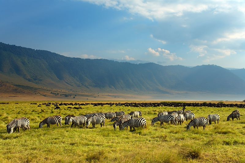 Kilimandjaro, safari en lodge et Zanzibar 