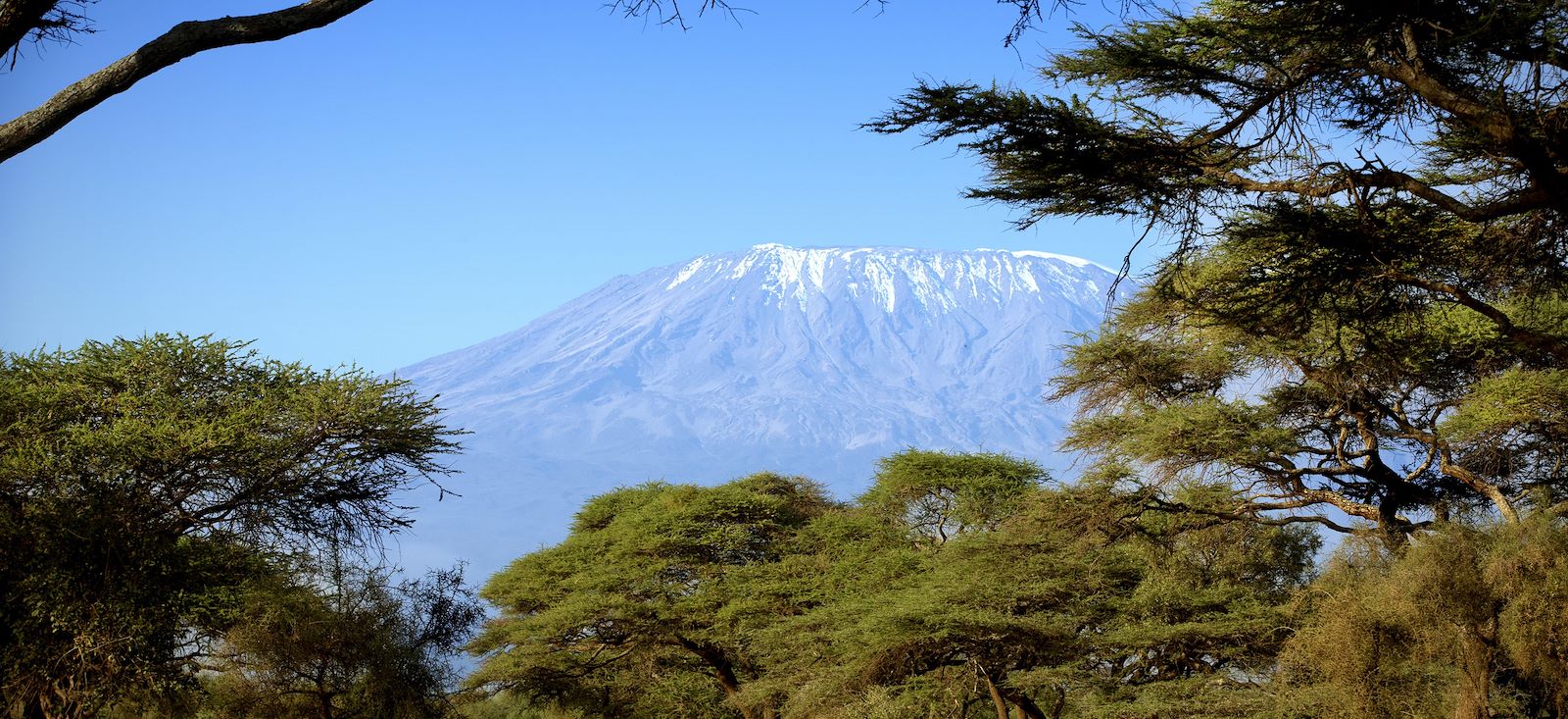 Image Ascension du Kilimandjaro et Zanzibar