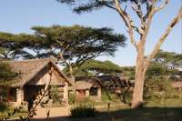 Ndutu safari lodge - Parc du Serengeti