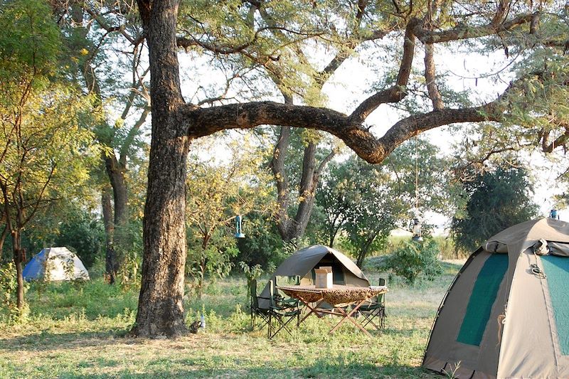Safari des grands parcs 