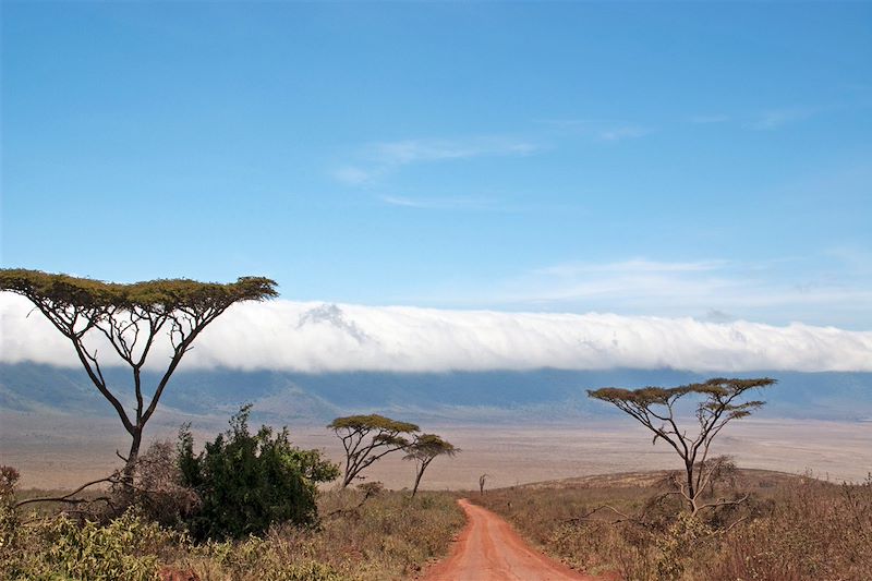 Safari en 4x4 dans les parc du Serengeti, du Tarangire et du cratère du N'Gorongoro, balades au Lac Natron et à Mto Wa Mbu