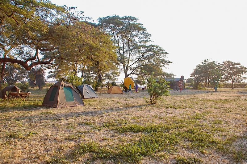Safari en 4x4 dans les parc du Serengeti, du Tarangire et du cratère du N'Gorongoro, balades au Lac Natron et à Mto Wa Mbu