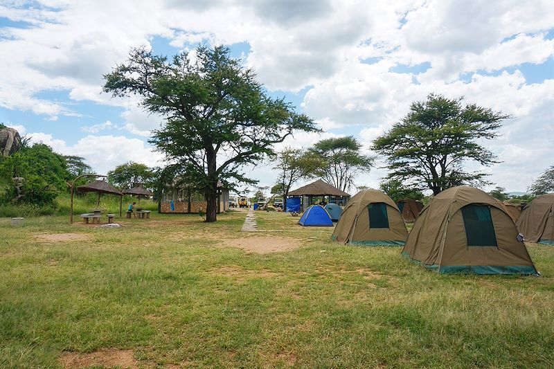 Safari en 4x4 dans les parc du Serengeti, du Tarangire et du cratère du N'Gorongoro, balades au Lac Natron et à Mto Wa Mbu