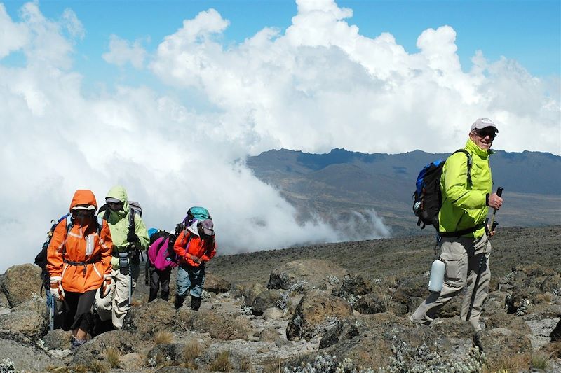 Trek Kilimandjaro par la voie Machame et safari dans les plus beaux parcs du Nord de la Tanzanie 