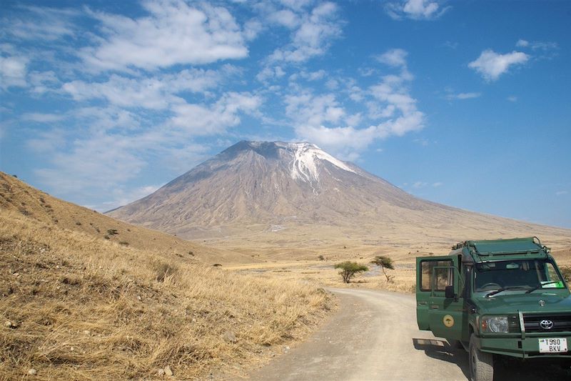 Rando Kili & Safari des Grands Parcs 