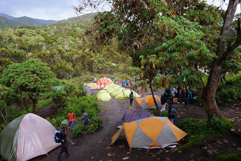 Bivouac à proximité du Machame Hut - Kilimandjaro - Tanzanie
