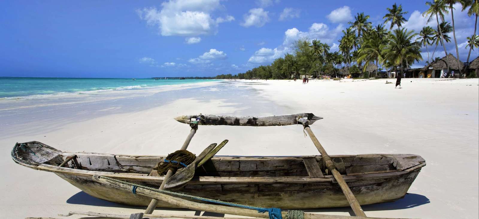 Safari - Tanzanie : Des plaines du Serengeti aux plages de Zanzibar