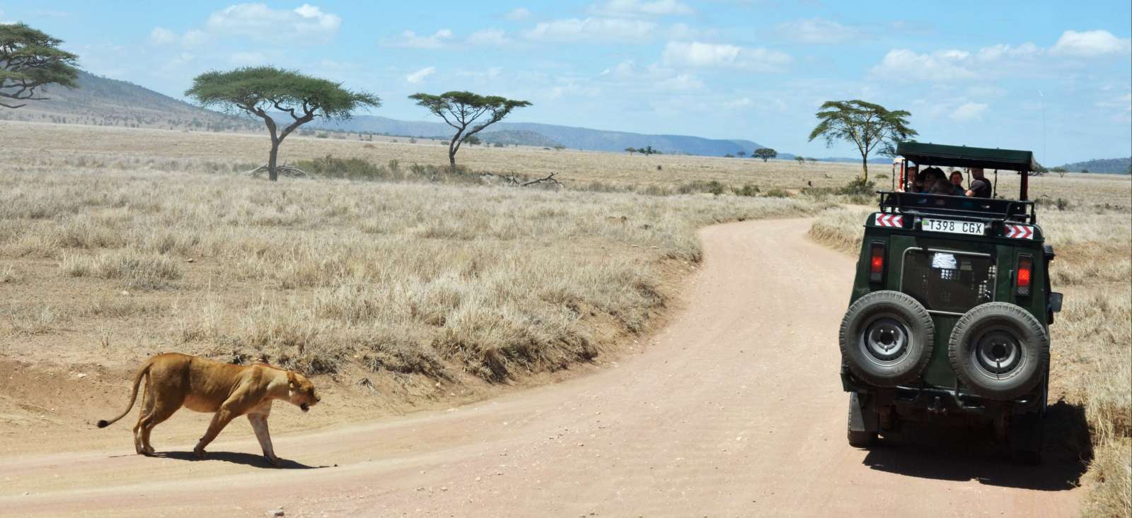Voyage avec des animaux Tanzanie : Les grands safaris de Tanzanie Voyage avec des animaux : Les grands safaris de Tanzanie