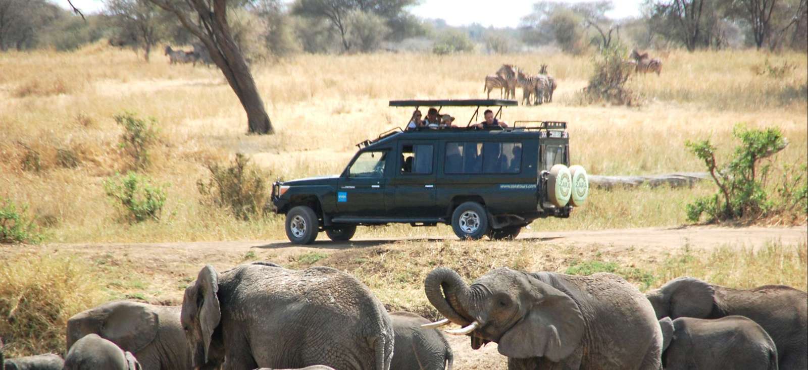 Voyage en véhicule Tanzanie : Des parcs du Nord à Zanzibar ! Voyage en véhicule Tanzanie : Des parcs du Nord à Zanzibar !