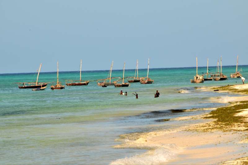 Z'en rêve de Zanzibar