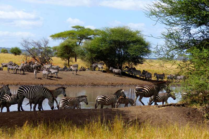 Image Au volant de mon 4x4 en Tanzanie !
