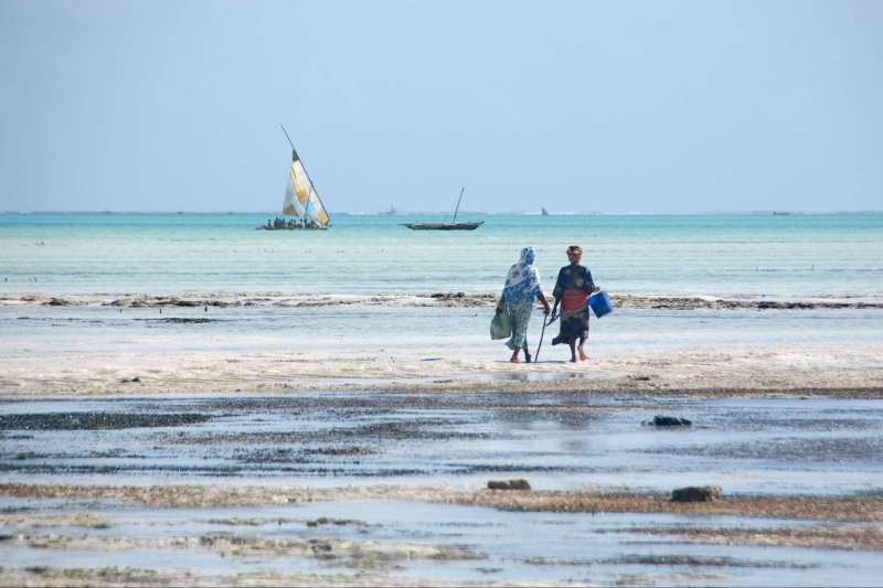Image Zanzibar, l'île épicée !