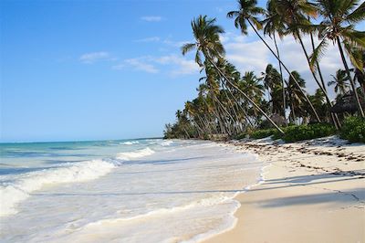 Z'en rêve de Zanzibar ! 4