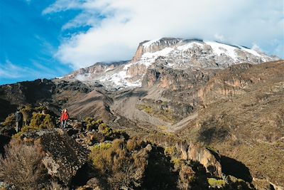 Ascension du Kilimandjaro, voie Machame  3