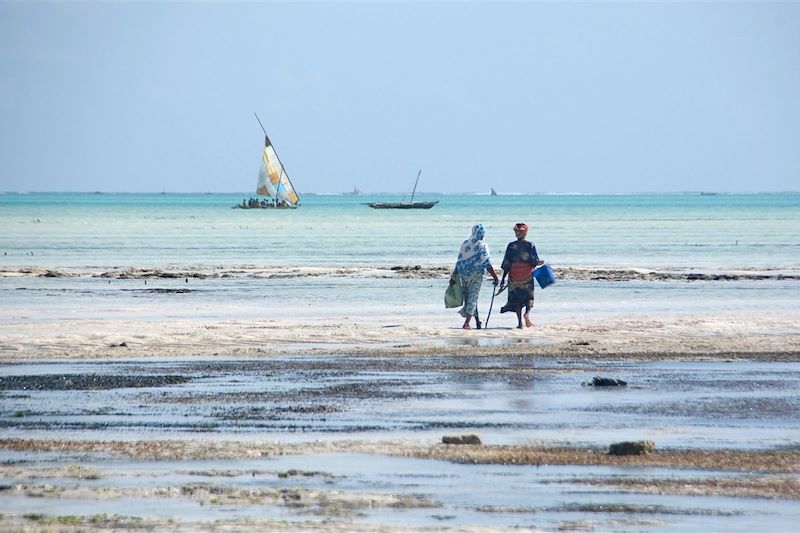 voyage Tanzanie