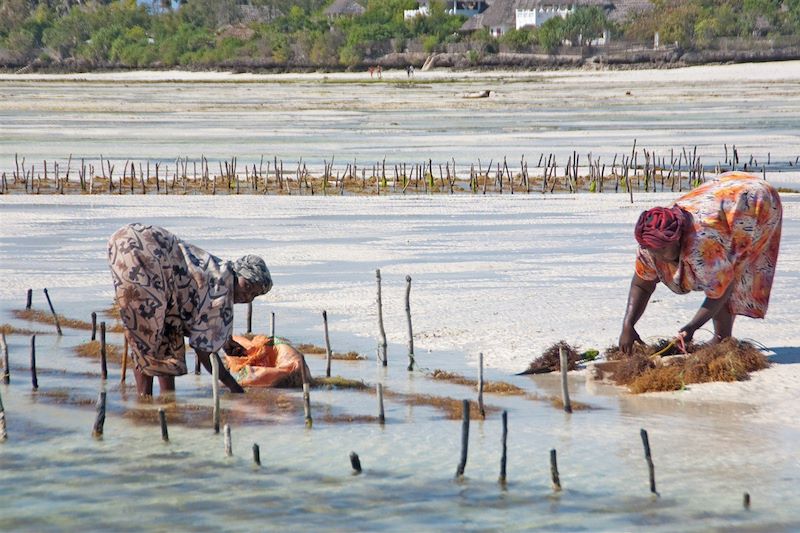 Jambiani - Ile de Unguja - Zanzibar - Tanzanie