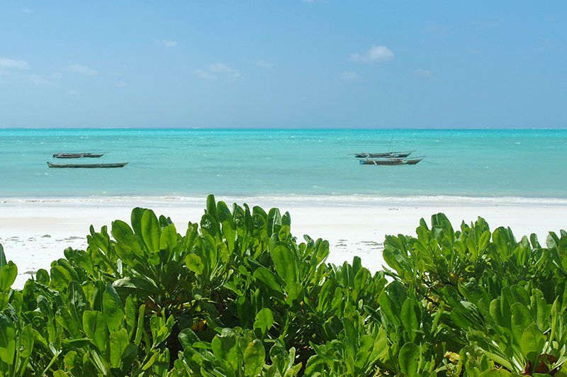 Jambiani - Zanzibar - Tanzanie