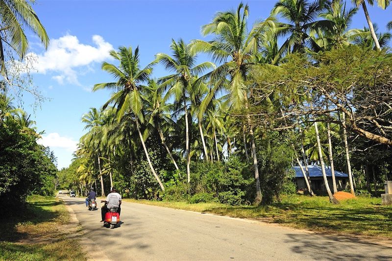 Quand y’en a marre, y’a Zanzibar !