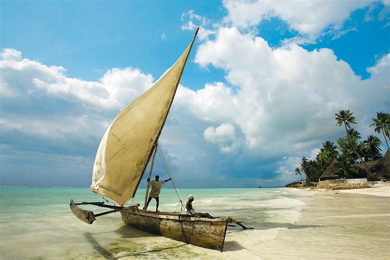 Des plaines du Serengeti aux plages de Zanzibar 