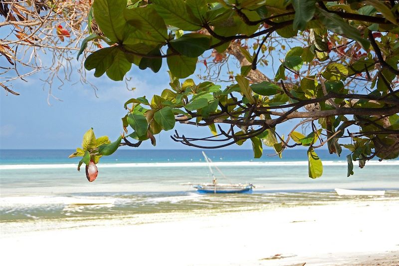 Plage - Zanzibar - Tanzanie