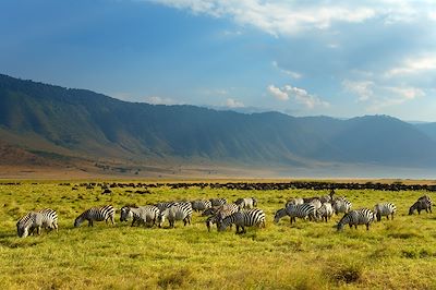 Des plaines du Serengeti aux plages de Zanzibar  2