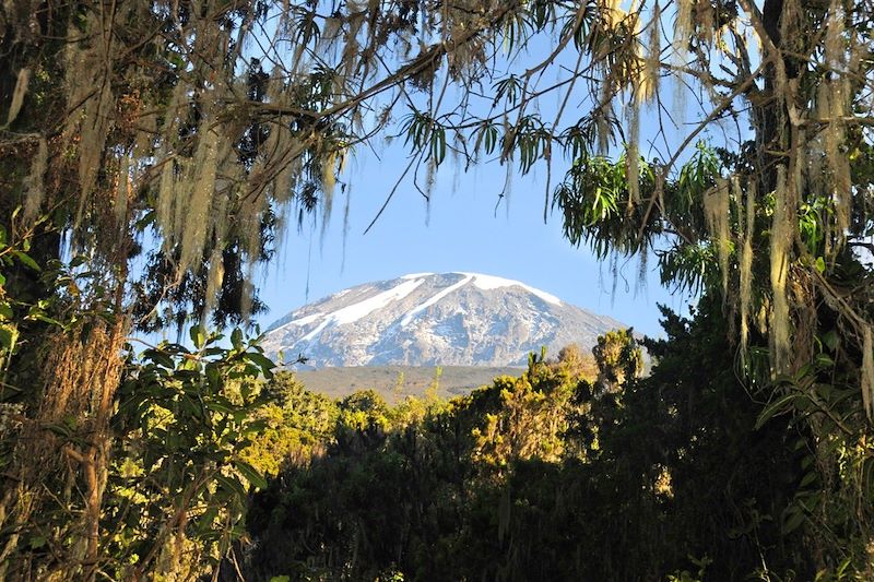 Glacier depuis Mweka - Kilimanjaro - Tanzanie