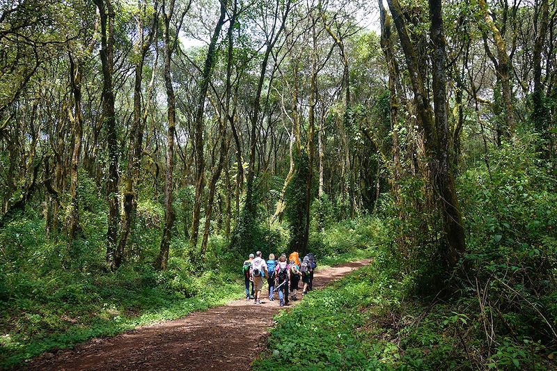 Trek entre Arusha et Machame Hut - Kilimandjaro - Tanzanie