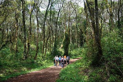 Le Kili par la voie Machame 4