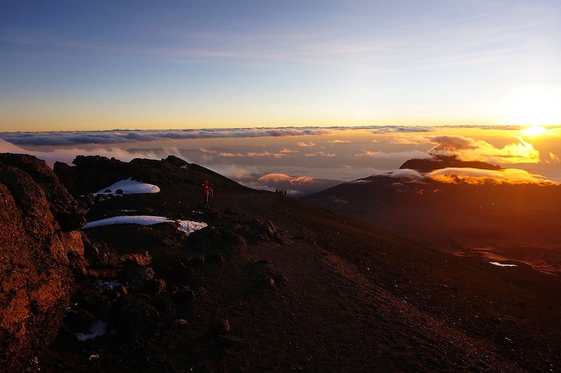 Trek entre Barafu Camp et Mweka Camp - Kilimandjaro - Tanzanie