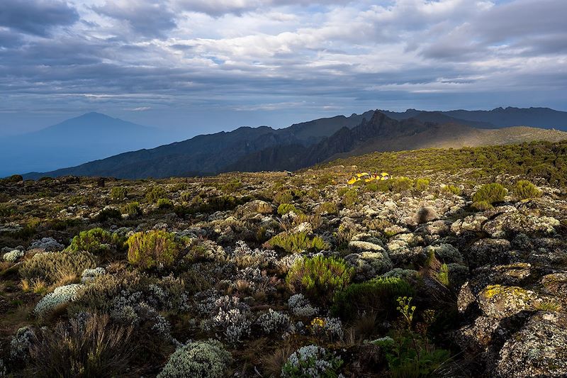 Shira Camp - Kilimandjaro - Tanzanie