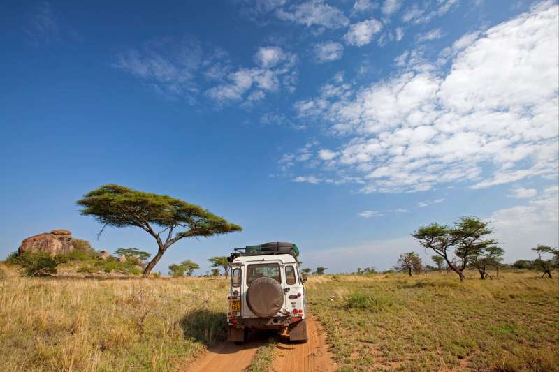 Safari en Tanzanie et Zanzibar une aventure en 4x4 et tente de toit pour explorer les parcs dont le Serengeti et finir à Zanzibar