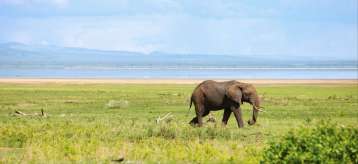 Voyage Tanzanie