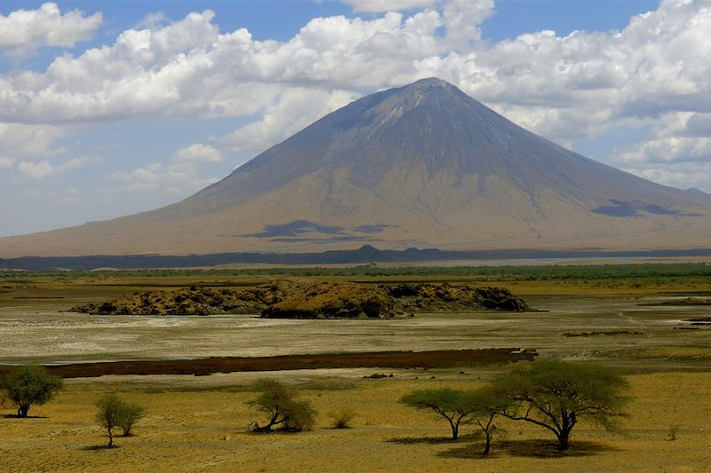 Safari grandeur nature en lodge... 