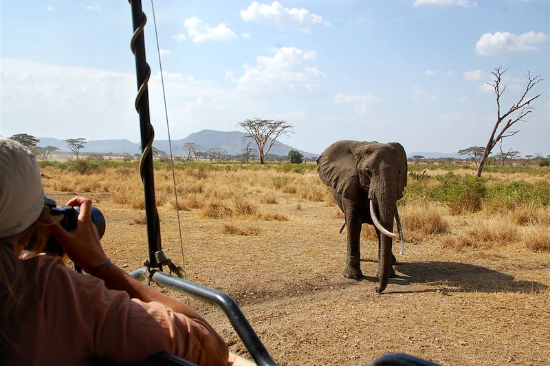 Safari grandeur nature en lodge... 