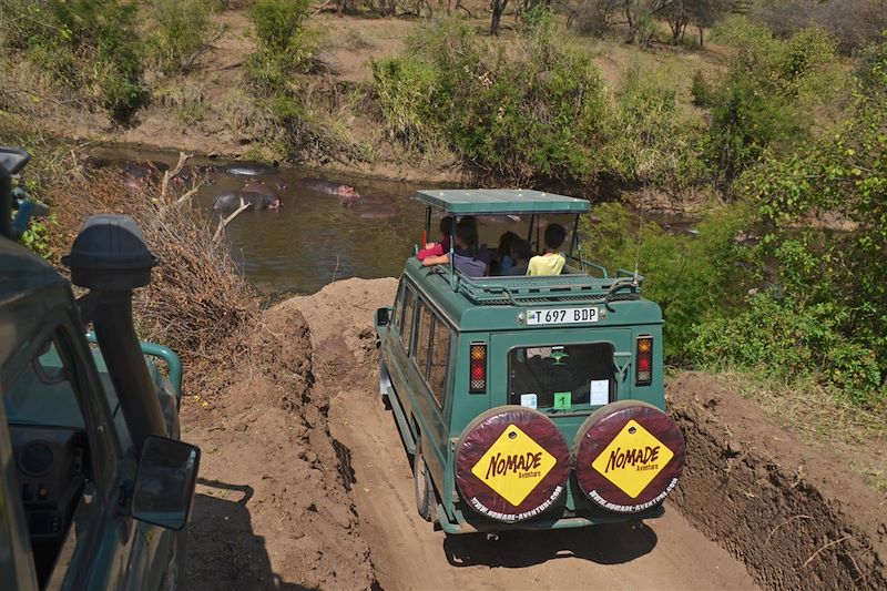 Parc National Serengeti - Tanzanie