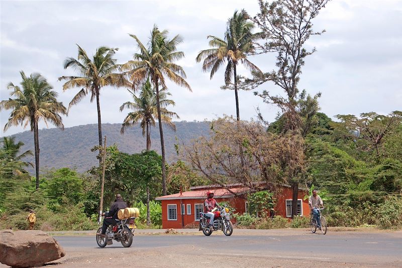 Mto Wa Mbu - Vallée du Rift - Région d'Arusha - Tanzanie