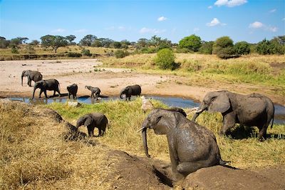 voyage Tanzanie