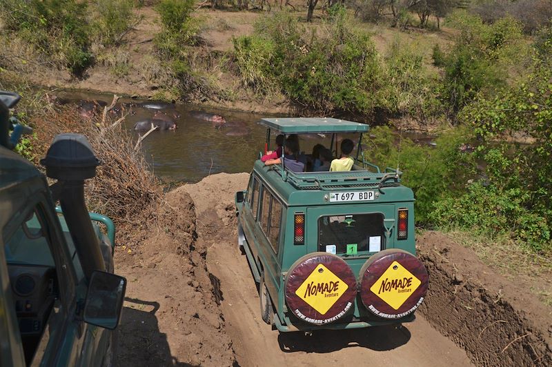 Parc National Serengeti - Tanzanie