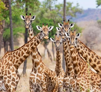 Voyages en famille Tanzanie