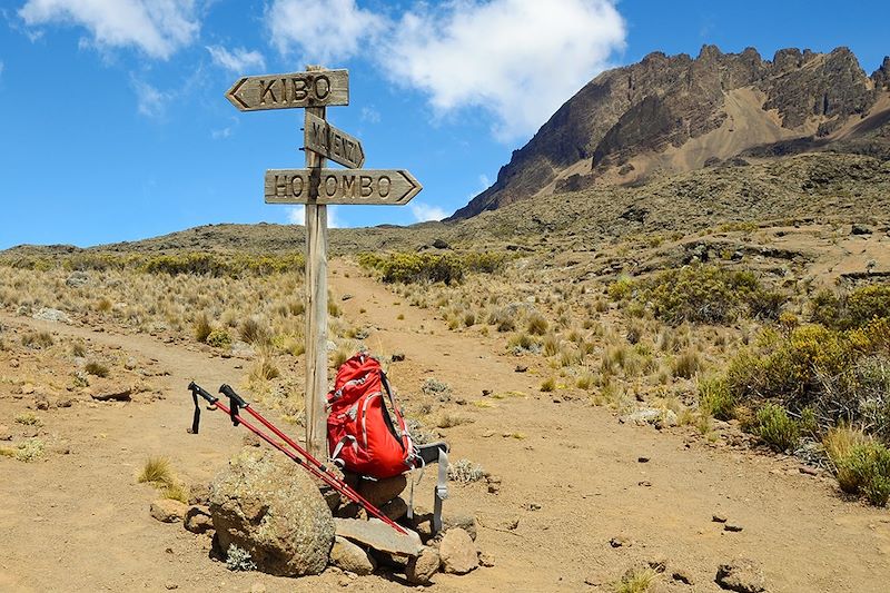 Le Kili par la voie Marangu