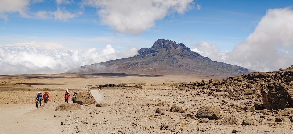 Monter le Kilimandjaro par la voie classique de Marangu, en compagnie de votre équipe de haute montagne francophone