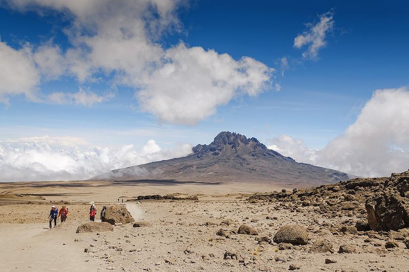 Le Kili par la voie Marangu